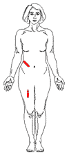 Female: Anterior Measurement Sites